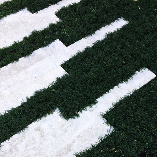 Dwarf Mondo Travertine Steppers
