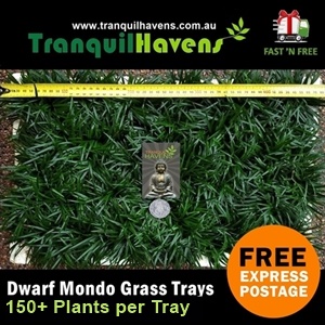 Trays