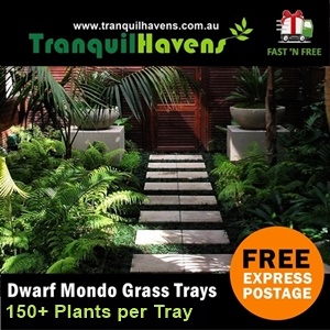 Dwarf Mondo Pavers